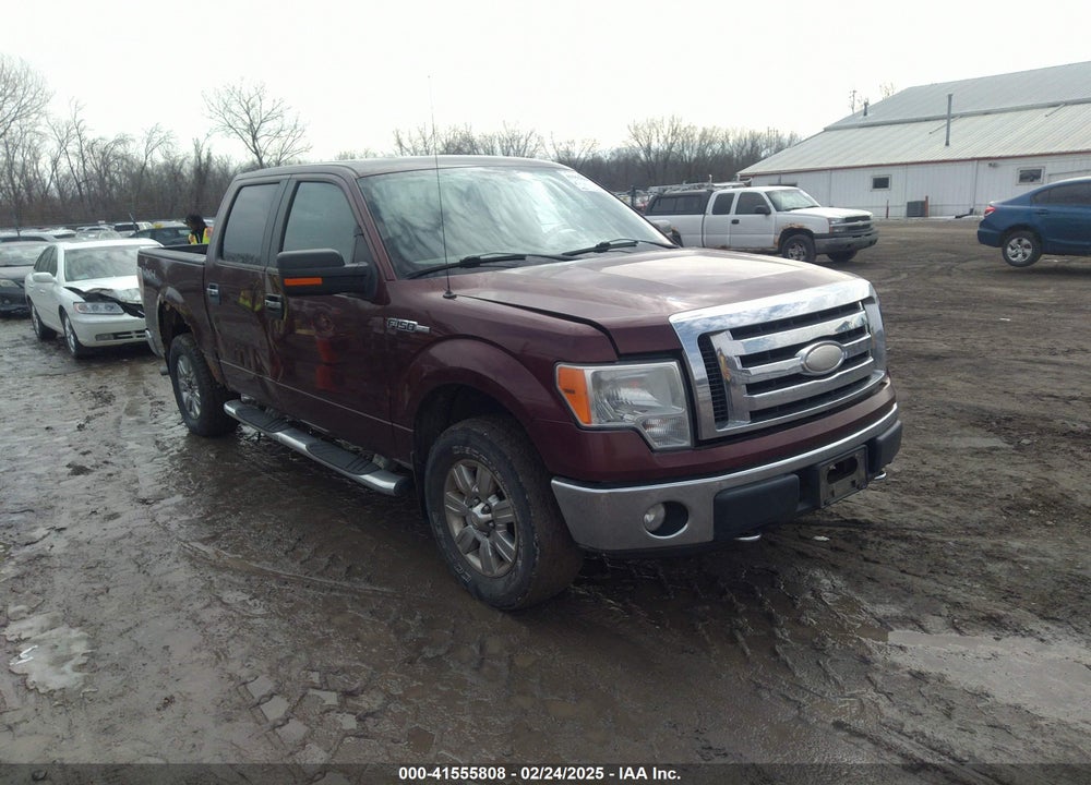 2009 FORD F-150 XL/XLT VIN: 1FTRW14849FA38644