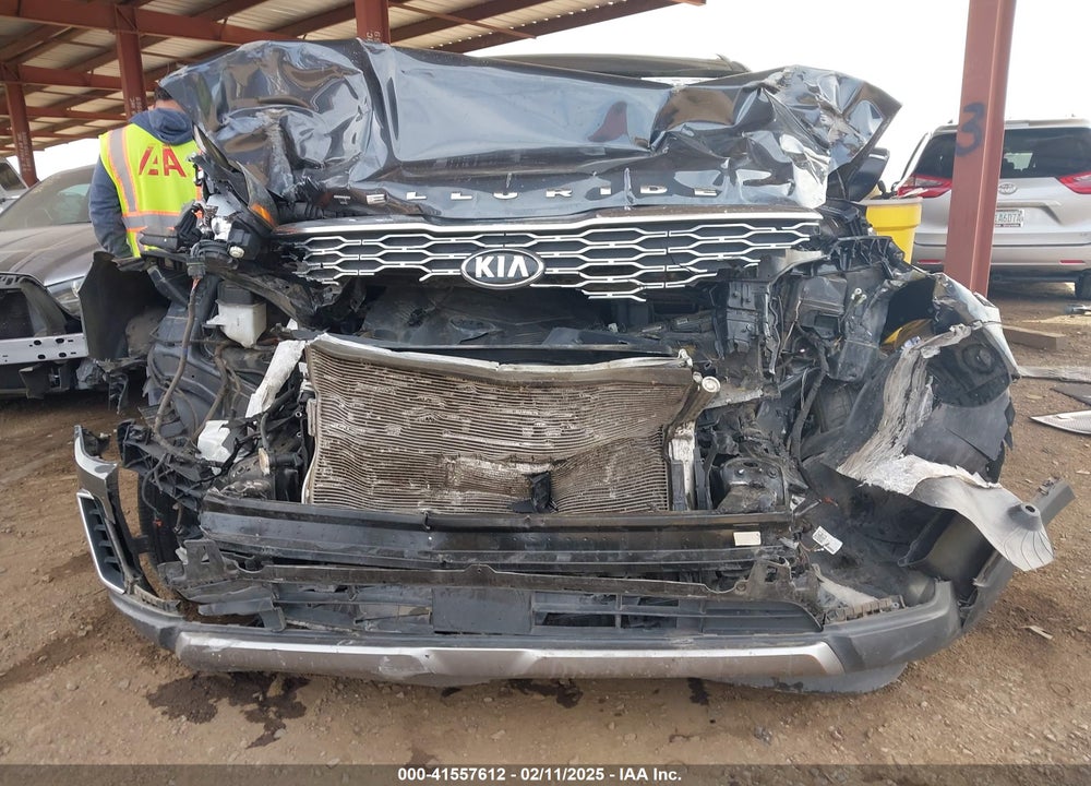 2020 KIA TELLURIDE VIN: 5XYP3DHC0LG033039