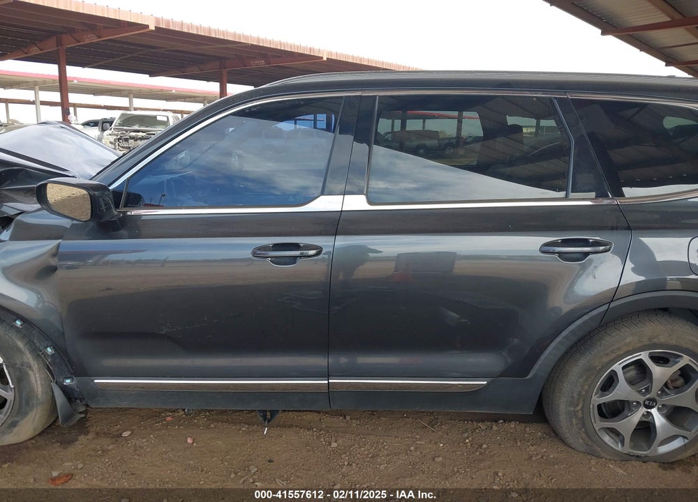 2020 KIA TELLURIDE VIN: 5XYP3DHC0LG033039