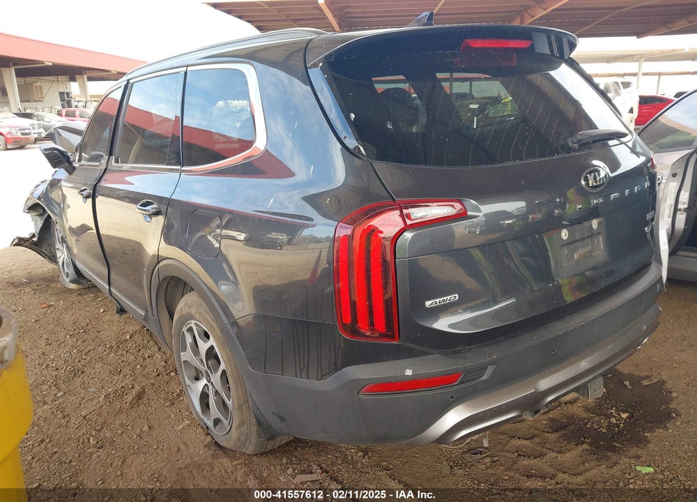 2020 KIA TELLURIDE VIN: 5XYP3DHC0LG033039