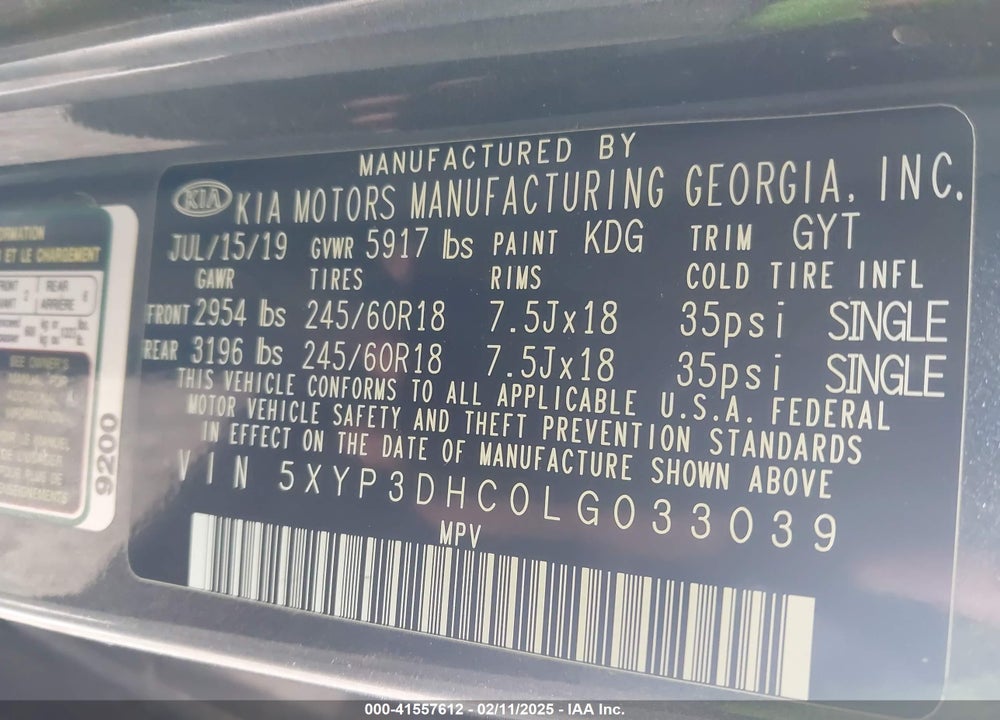 2020 KIA TELLURIDE VIN: 5XYP3DHC0LG033039