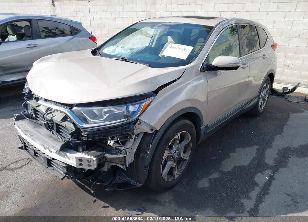 2019 HONDA CR-V VIN: 5J6RW1H51KL001424