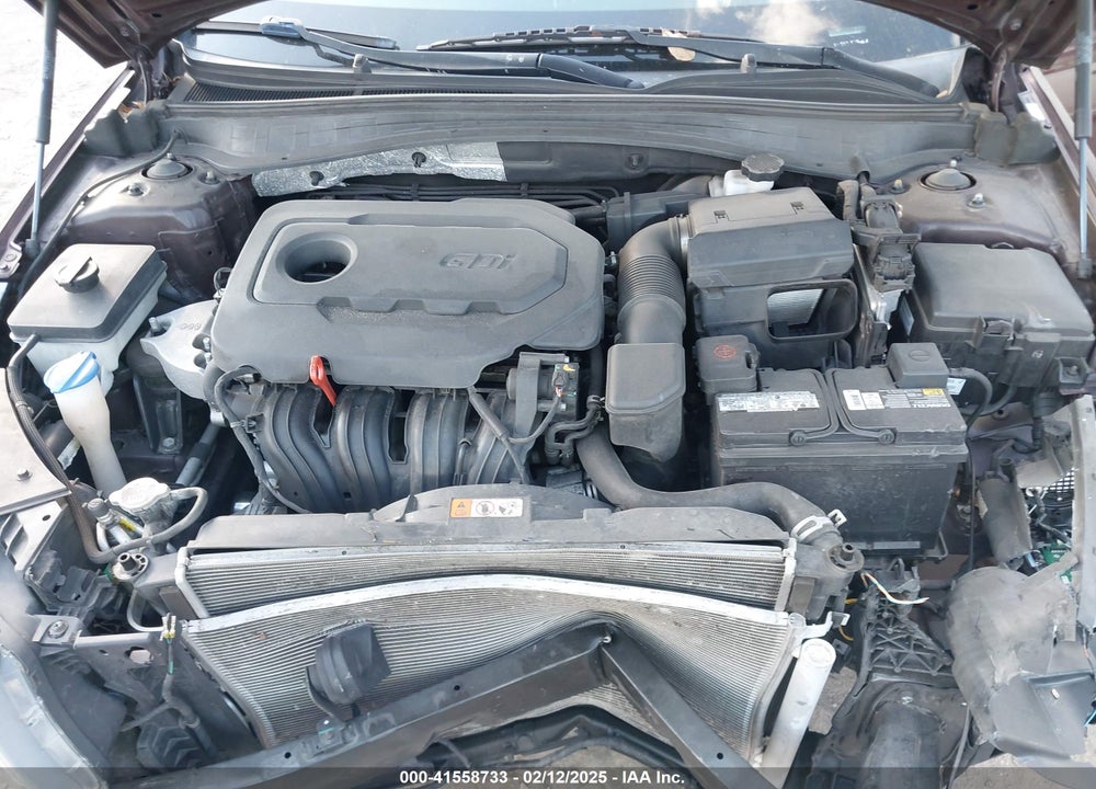 2019 KIA OPTIMA VIN: 5XXGT4L30KG348904