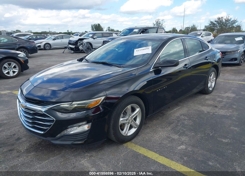 2023 CHEVROLET MALIBU FWD 1LT VIN: 1G1ZD5ST6PF175692