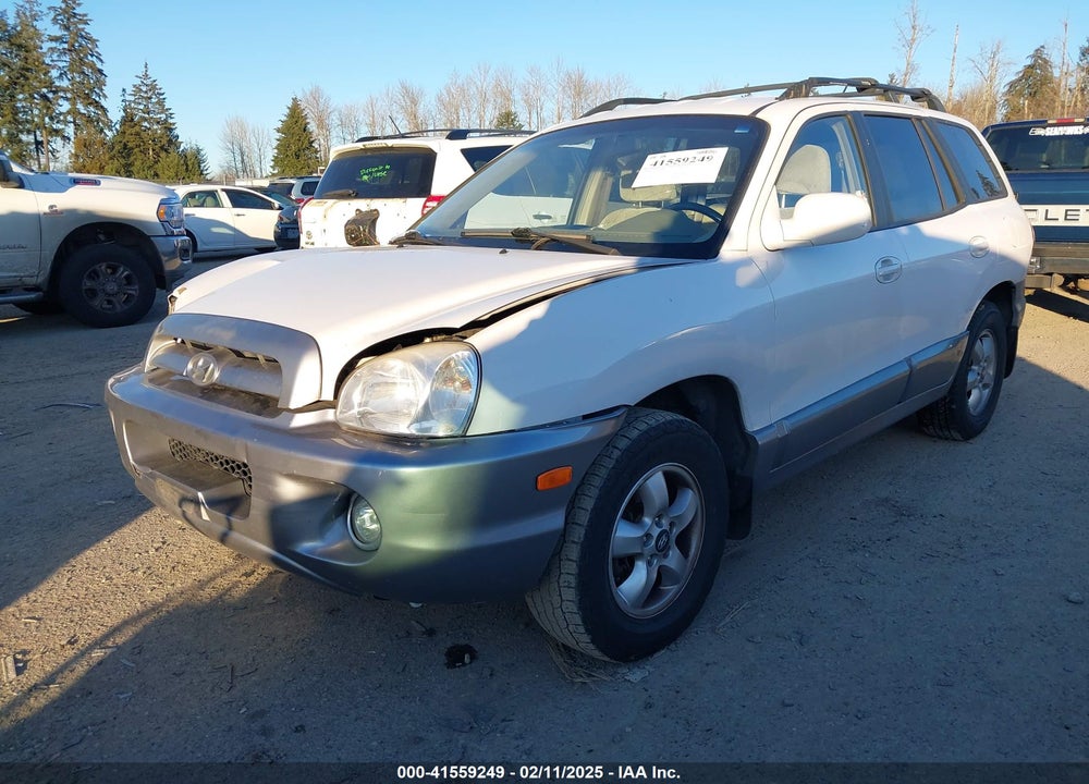2006 HYUNDAI SANTA FE VIN: KM8SC13D76U105720
