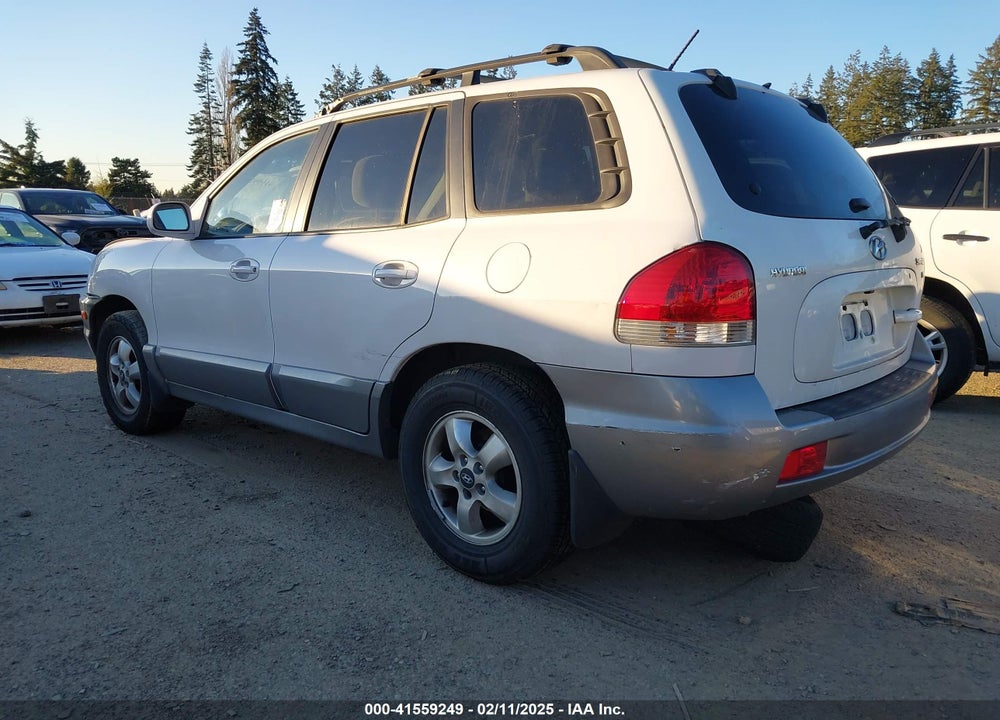 2006 HYUNDAI SANTA FE VIN: KM8SC13D76U105720