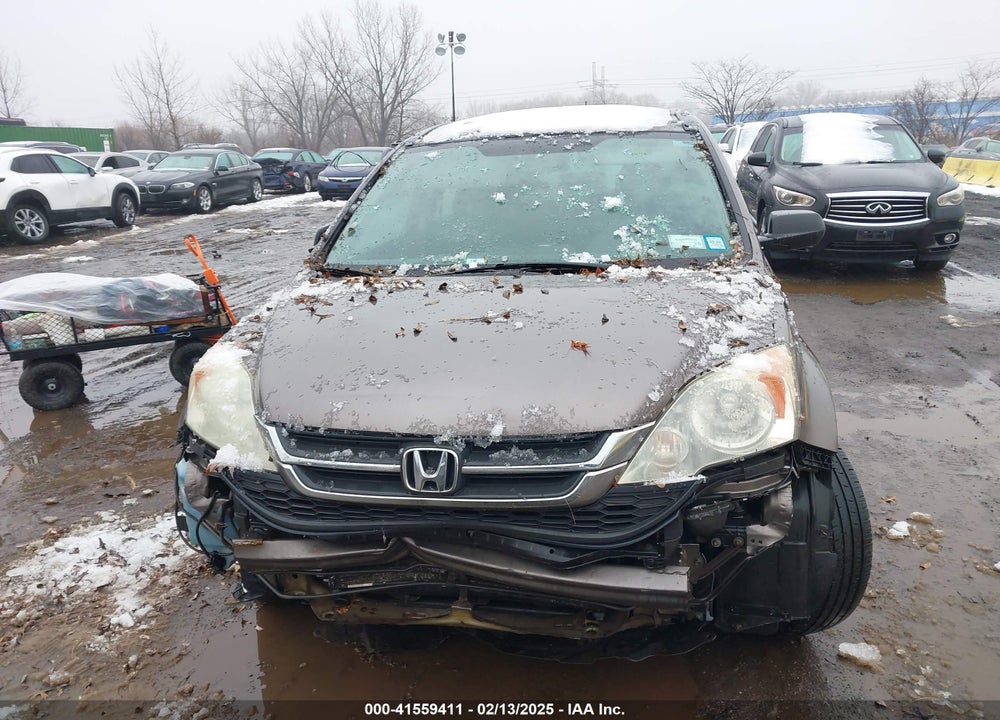 2010 HONDA CR-V LX VIN: 5J6RE4H34AL097809