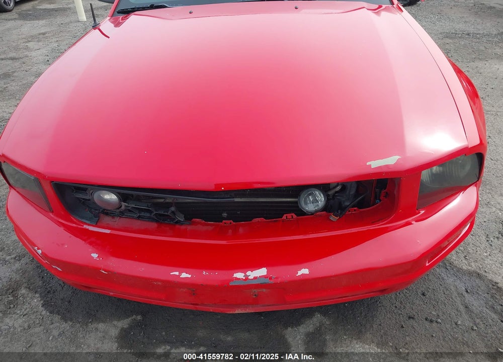 2006 FORD MUSTANG V6 VIN: 1ZVFT80N465155011