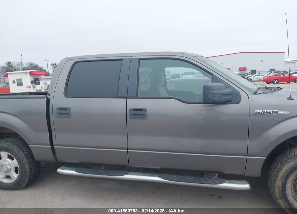 2010 FORD F-150 XL/XLT VIN: 1FTEW1E83AFB07499