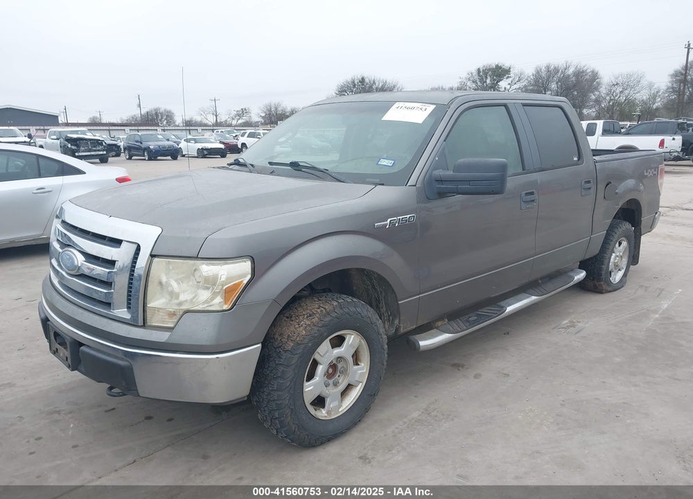 2010 FORD F-150 XL/XLT VIN: 1FTEW1E83AFB07499