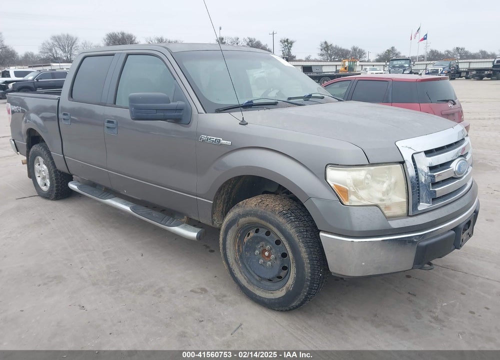 2010 FORD F-150 XL/XLT VIN: 1FTEW1E83AFB07499