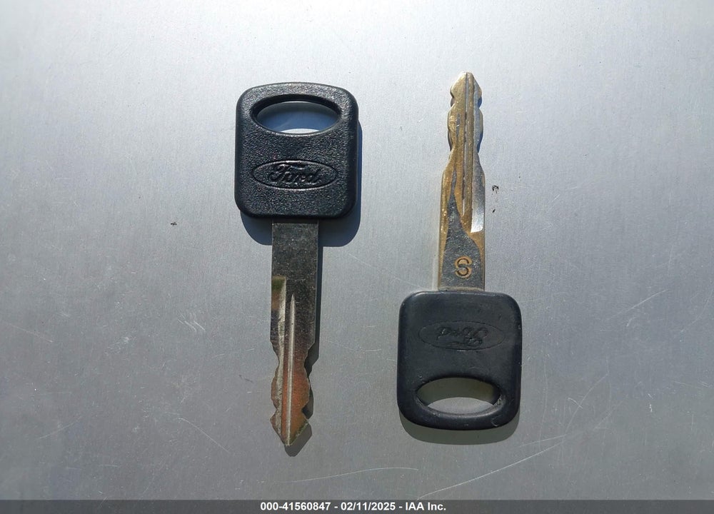 1998 FORD F-150 STANDARD/XL/XLT VIN: 1FTZX1721WNB12737