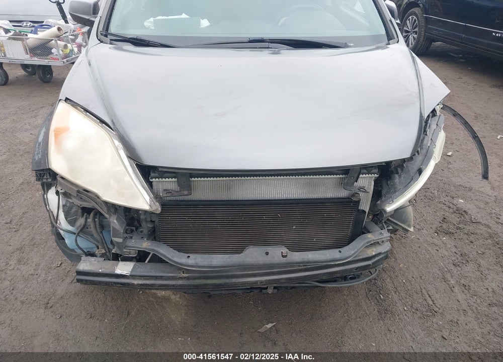 2010 HONDA CR-V VIN: 5J6RE3H57AL011498