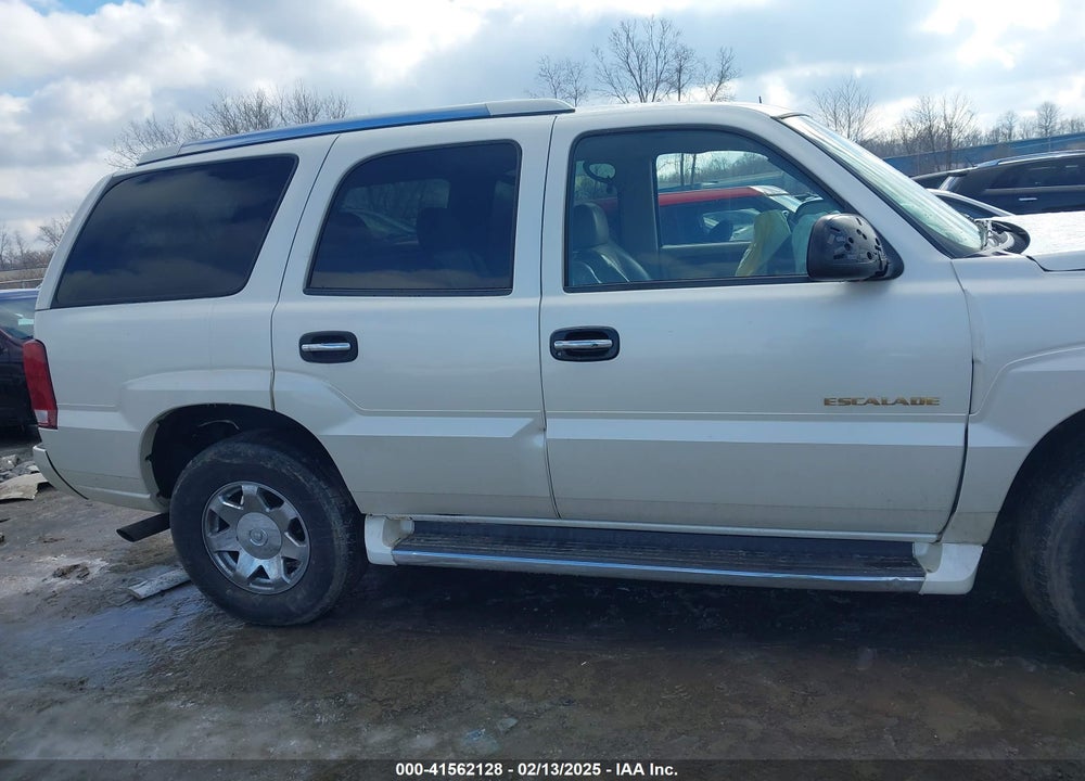 2003 CADILLAC ESCALADE STANDARD VIN: 1GYEK63N43R289906