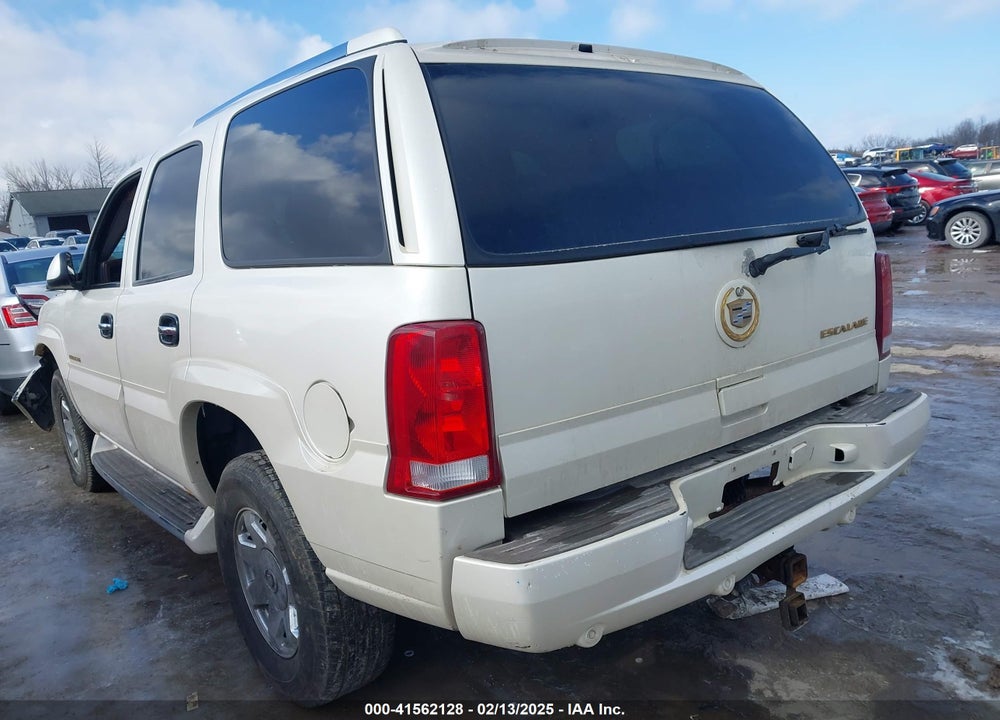 2003 CADILLAC ESCALADE STANDARD VIN: 1GYEK63N43R289906