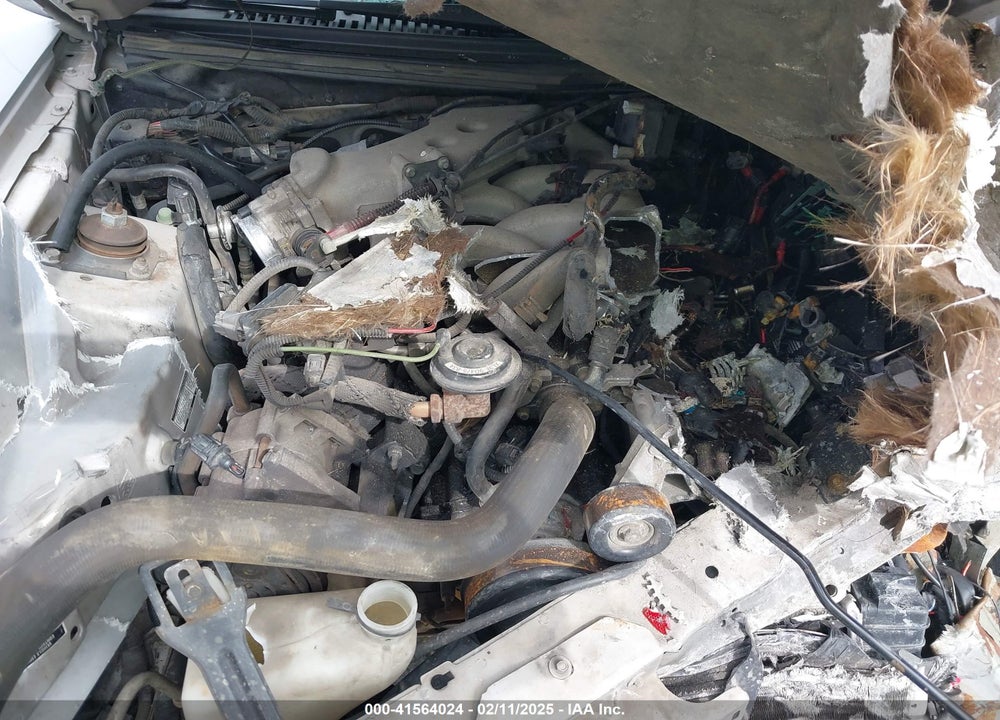 2000 FORD MUSTANG VIN: 1FAFP4047YF124653