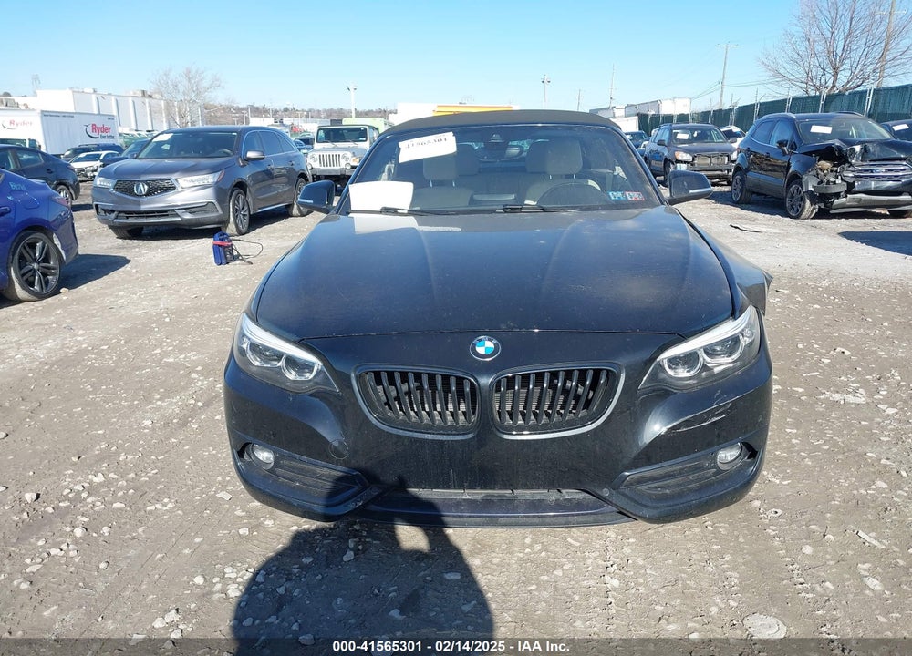 2019 BMW 230I VIN: WBA2K1C50KVD42070