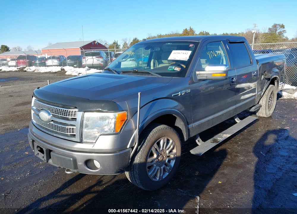 2009 FORD F-150 PLATINUM VIN: 1FTPW14VX9FA67580