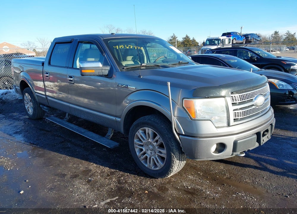 2009 FORD F-150 PLATINUM VIN: 1FTPW14VX9FA67580