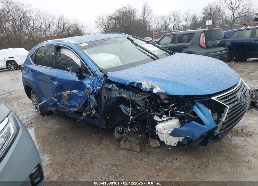 2020 LEXUS NX 300 VIN: JTJDARDZ4L2236054