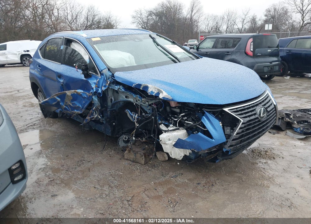 2020 LEXUS NX 300 VIN: JTJDARDZ4L2236054