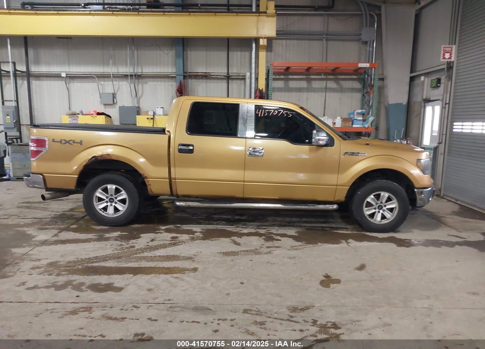 2009 FORD F-150 XL/XLT VIN: 1FTRW14829KC27848