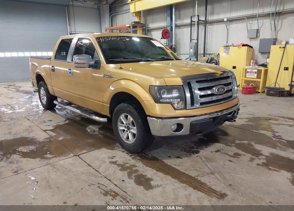 2009 FORD F-150 XL/XLT VIN: 1FTRW14829KC27848
