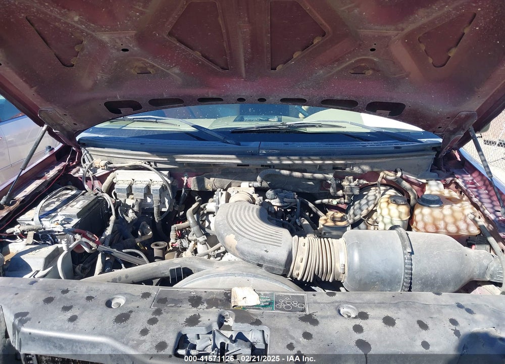 2004 FORD F-150 STX/XL/XLT VIN: 1FTRX12W44NB60367