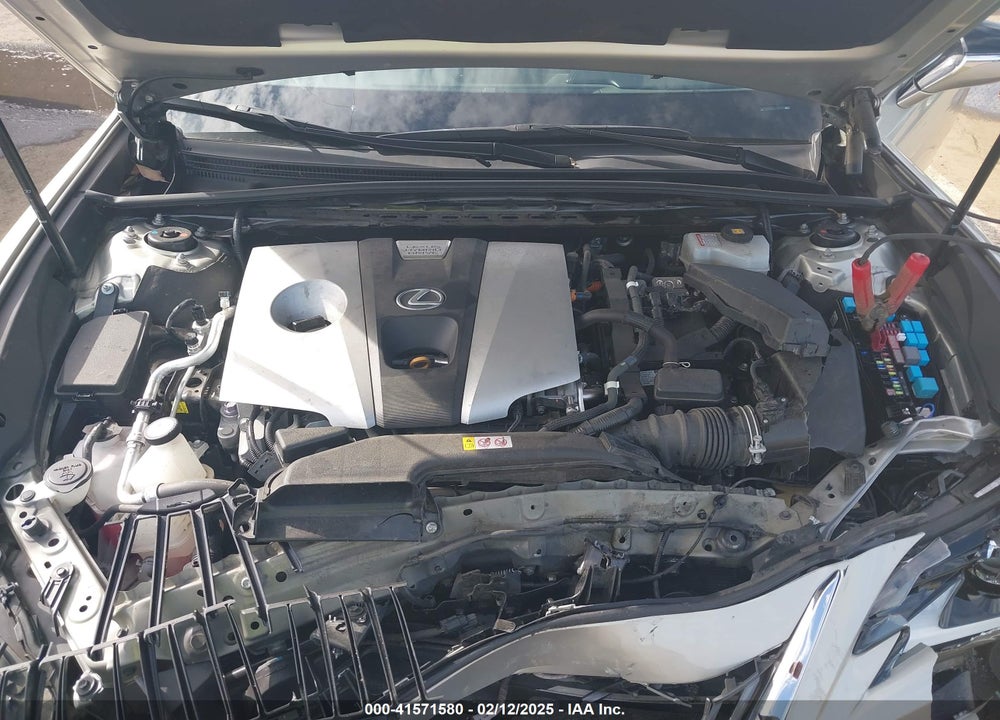 2019 LEXUS ES300 VIN: 58AB21B19KU002778