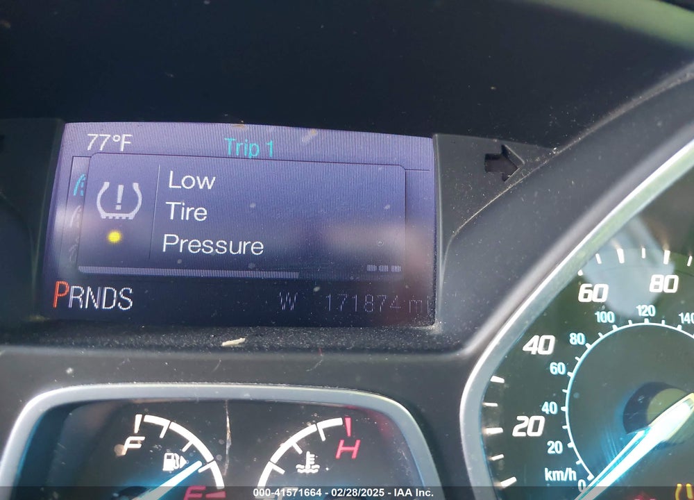 2014 FORD ESCAPE VIN: 1FMCU0GX6EUA78735