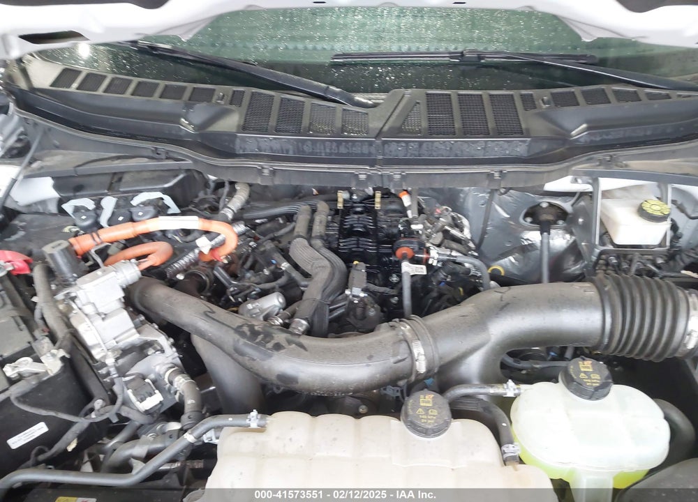 2024 FORD F-150 XLT VIN: 1FTFW3LDXRFA49192