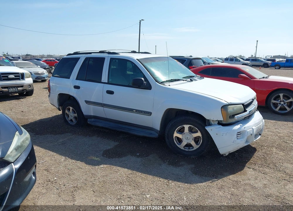 2002 CHEVROLET TRAILBLAZER LT VIN: 1GNDS13S822513896