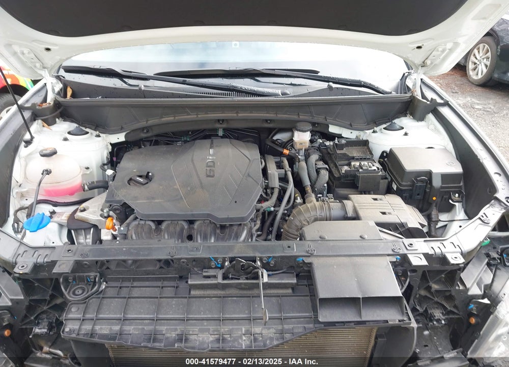 2024 HYUNDAI TUCSON LIMITED VIN: 5NMJECDEXRH349726