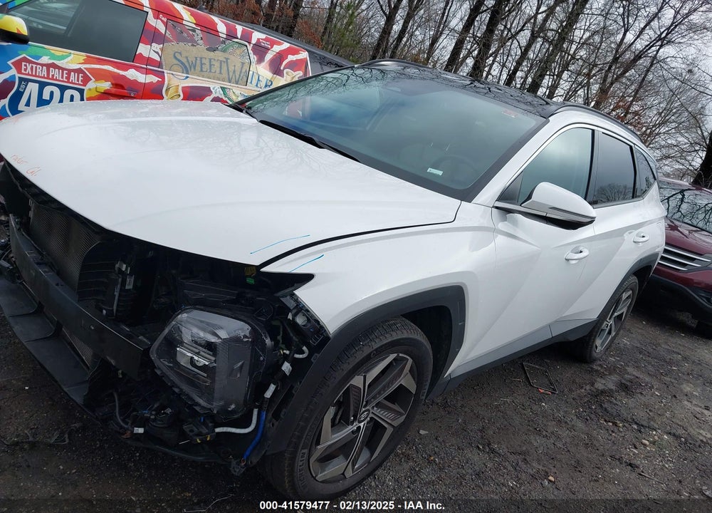 2024 HYUNDAI TUCSON LIMITED VIN: 5NMJECDEXRH349726