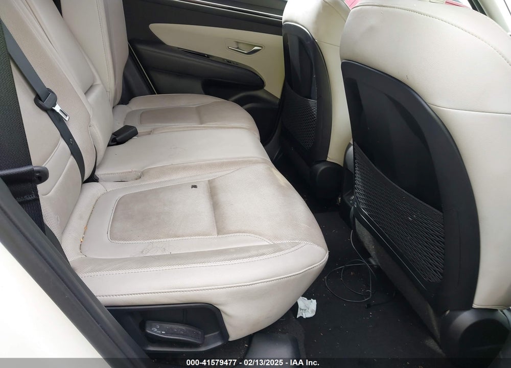 2024 HYUNDAI TUCSON LIMITED VIN: 5NMJECDEXRH349726