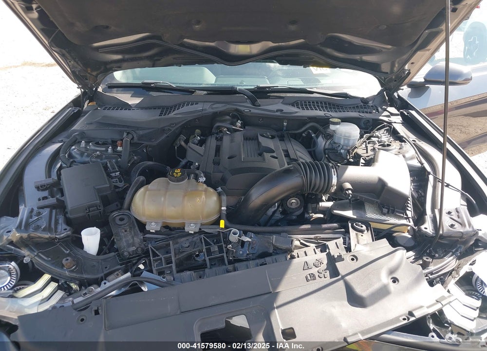 2019 FORD MUSTANG VIN: 1FA6P8TH9K5176353