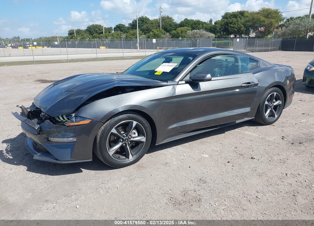 2019 FORD MUSTANG VIN: 1FA6P8TH9K5176353