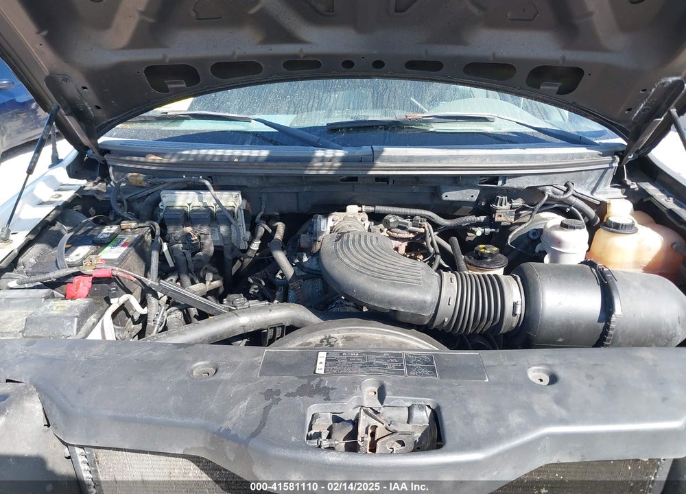 2006 FORD F-150 STX/XL/XLT VIN: 1FTRF14W66NA29265