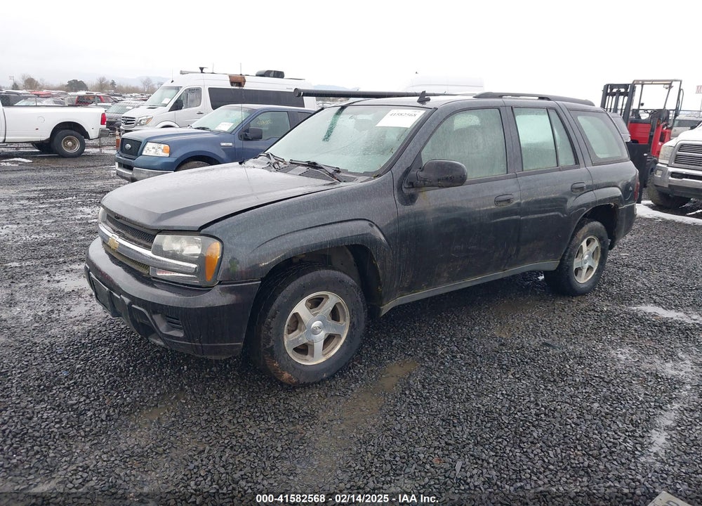 2006 CHEVROLET TRAILBLAZER LS VIN: 1GNDS13S462312115