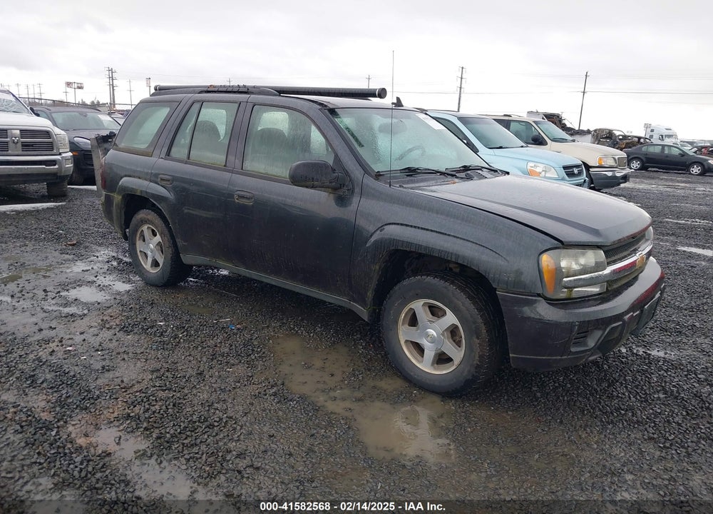 2006 CHEVROLET TRAILBLAZER LS VIN: 1GNDS13S462312115