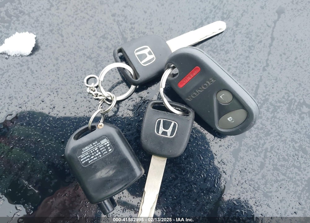 2006 HONDA ELEMENT EX-P VIN: 5J6YH28776L024368