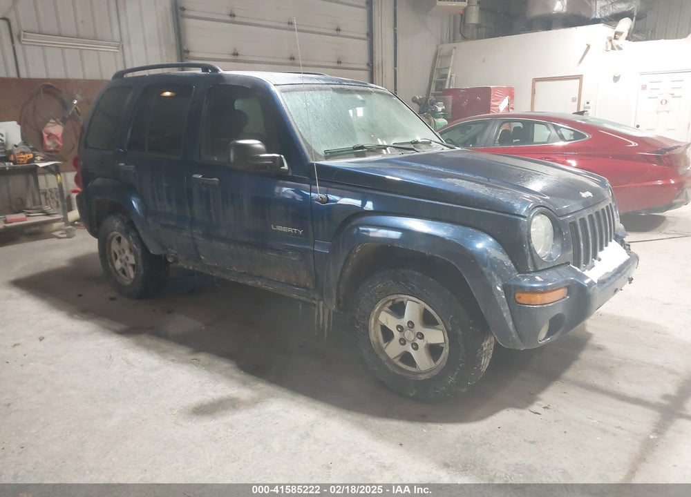 2004 JEEP LIBERTY LIMITED EDITION VIN: 1J4GL58K44W161408