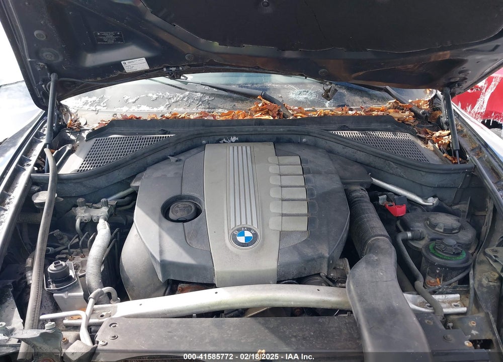 2010 BMW X5 XDRIVE35D VIN: 5UXFF0C50ALJ99887