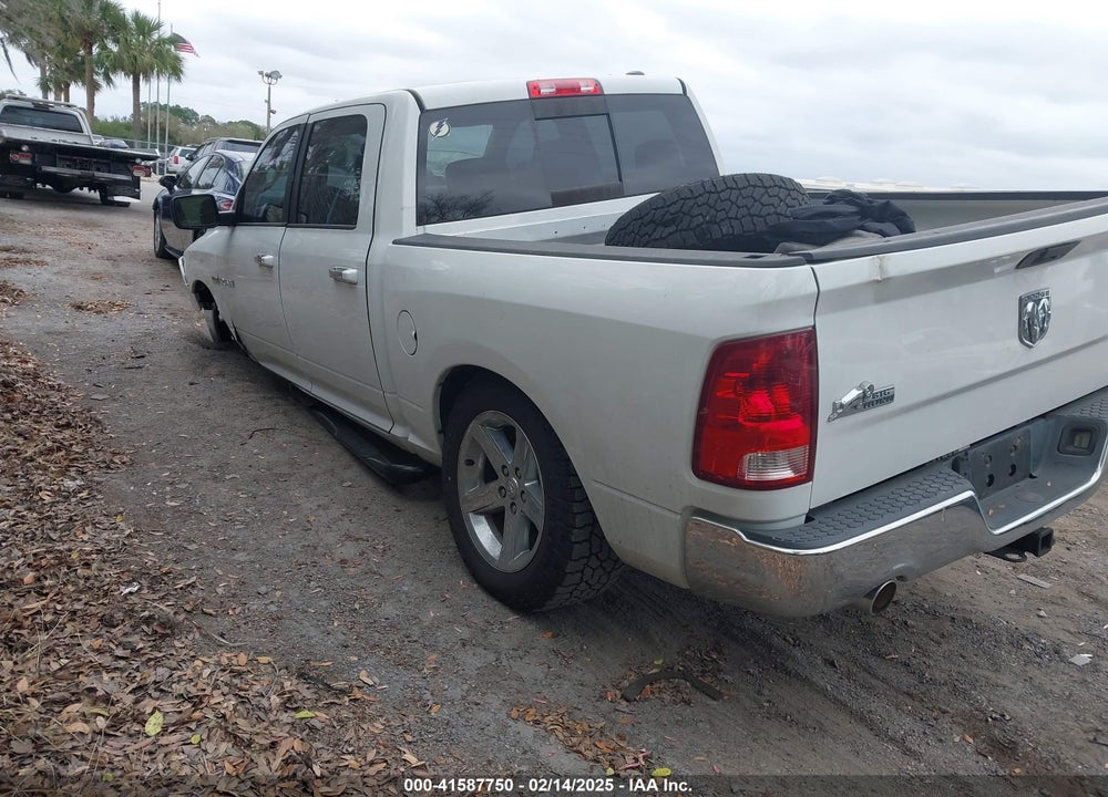 2010 DODGE RAM 1500 SLT/SPORT/TRX VIN: 1D7RV1CT2AS260948