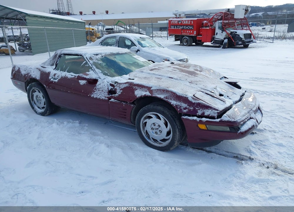 1993 CHEVROLET CORVETTE VIN: 1G1YY33P4P5117205