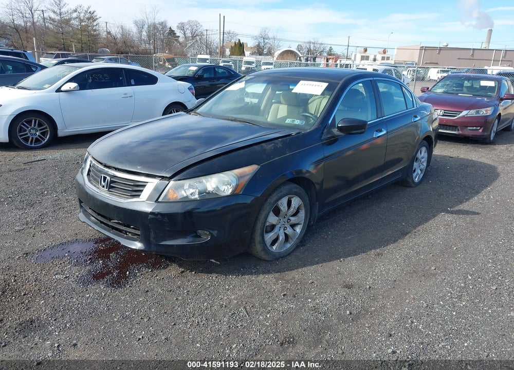 2010 HONDA ACCORD VIN: 1HGCP3F83AA003995