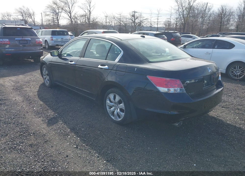 2010 HONDA ACCORD VIN: 1HGCP3F83AA003995