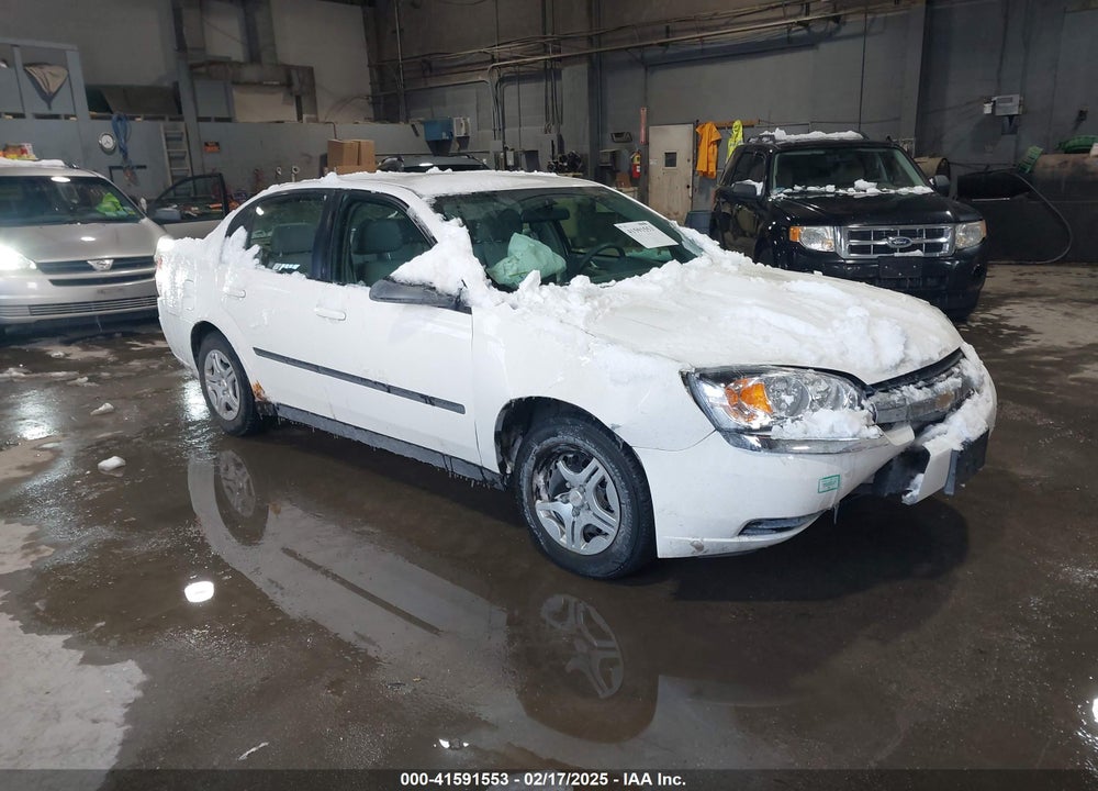 2004 CHEVROLET MALIBU VIN: 1G1ZS52F24F135055