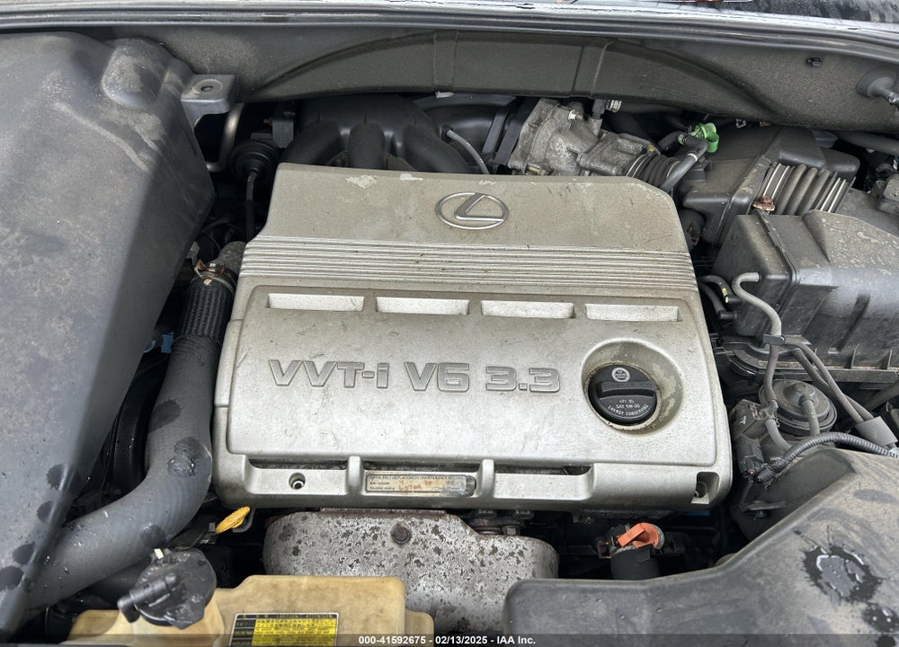 2004 LEXUS RX VIN: 2T2HA31U64C007657