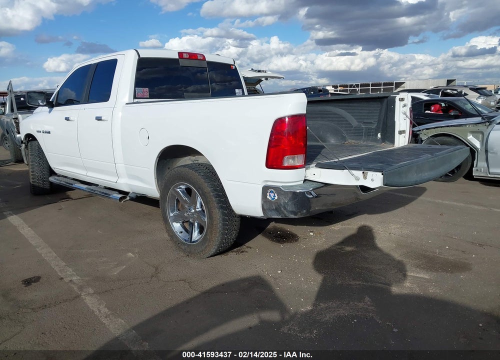 2010 DODGE RAM 1500 SLT/SPORT/TRX VIN: 1D7RB1GT3AS141602